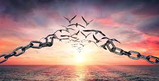 Lesson in Freedom: Be No Thing